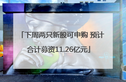 下周两只新股可申购 预计合计募资11.26亿元