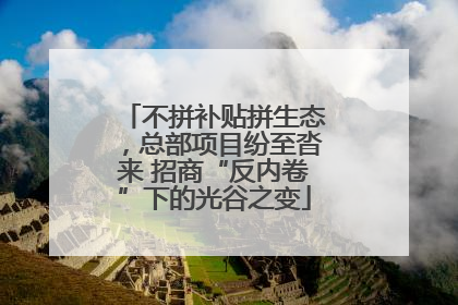 不拼补贴拼生态，总部项目纷至沓来 招商“反内卷”下的光谷之变