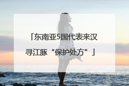 东南亚5国代表来汉寻江豚“保护处方”