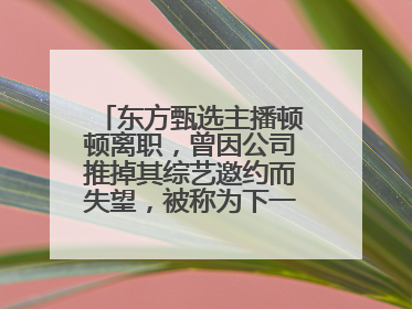 东方甄选主播顿顿离职，曾因公司推掉其综艺邀约而失望，被称为下一个董宇辉