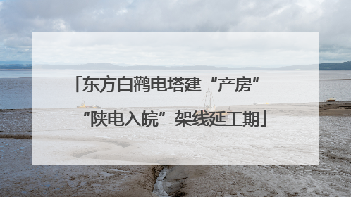 东方白鹳电塔建“产房” “陕电入皖”架线延工期