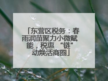 东营区税务：春雨润苗聚力小微赋能，税惠 “链” 动焕活商圈