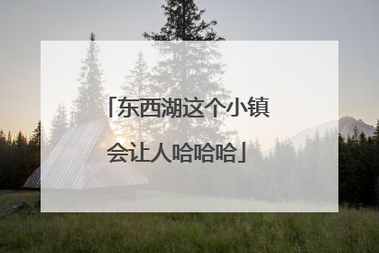 东西湖这个小镇会让人哈哈哈