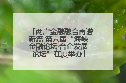 两岸金融融合再谱新篇 第六届“海峡金融论坛·台企发展论坛”在厦举办