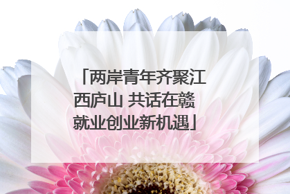 两岸青年齐聚江西庐山 共话在赣就业创业新机遇