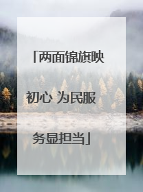 两面锦旗映初心 为民服务显担当