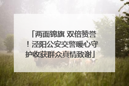 两面锦旗 双倍赞誉！泾阳公安交警暖心守护收获群众真情致谢