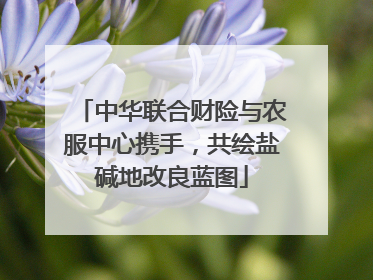中华联合财险与农服中心携手，共绘盐碱地改良蓝图