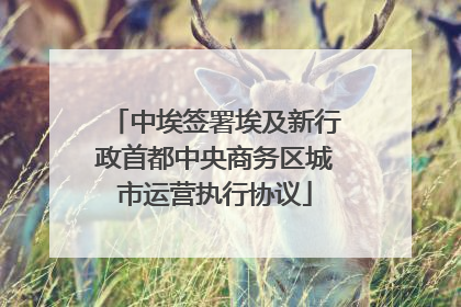 中埃签署埃及新行政首都中央商务区城市运营执行协议