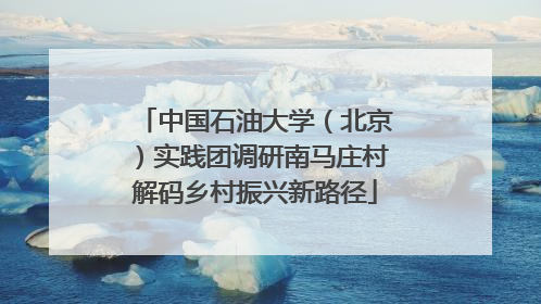 中国石油大学（北京）实践团调研南马庄村解码乡村振兴新路径