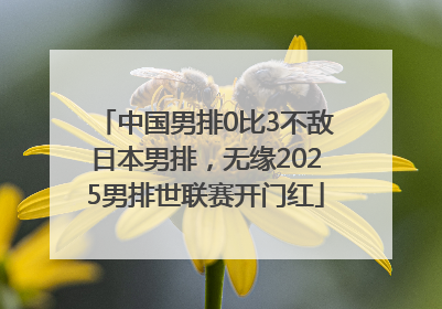 中国男排0比3不敌日本男排，无缘2025男排世联赛开门红