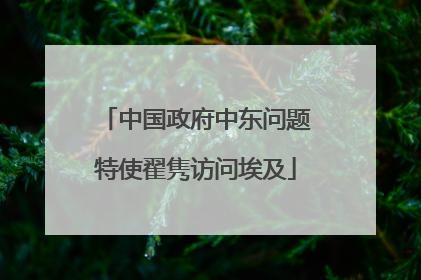 中国政府中东问题特使翟隽访问埃及