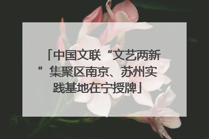 中国文联“文艺两新”集聚区南京、苏州实践基地在宁授牌