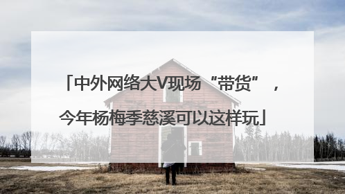中外网络大V现场“带货”，今年杨梅季慈溪可以这样玩