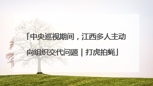 中央巡视期间，江西多人主动向组织交代问题｜打虎拍蝇