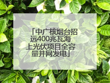中广核烟台招远400兆瓦海上光伏项目全容量并网发电