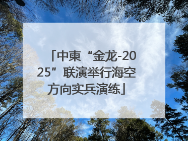中柬“金龙-2025”联演举行海空方向实兵演练