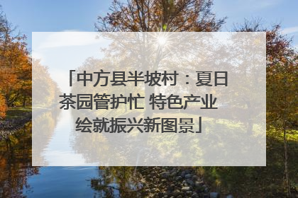 中方县半坡村：夏日茶园管护忙 特色产业绘就振兴新图景