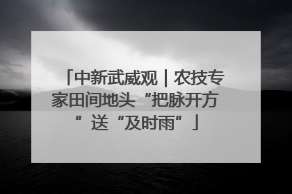 中新武威观｜农技专家田间地头“把脉开方”送“及时雨”
