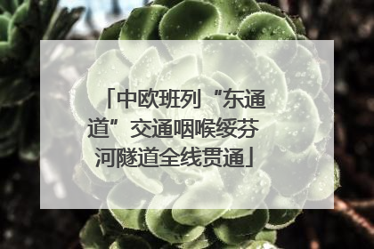中欧班列“东通道”交通咽喉绥芬河隧道全线贯通