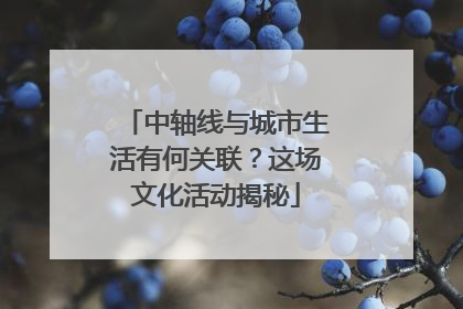 中轴线与城市生活有何关联？这场文化活动揭秘