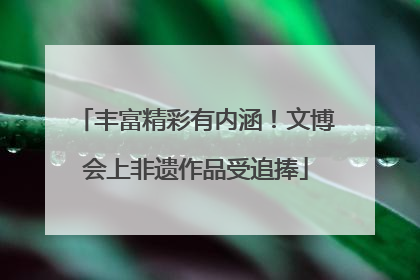 丰富精彩有内涵！文博会上非遗作品受追捧