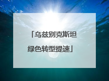 乌兹别克斯坦绿色转型提速