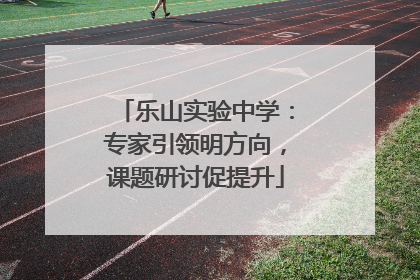 乐山实验中学：专家引领明方向，课题研讨促提升