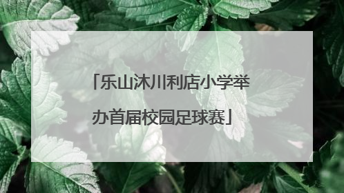 乐山沐川利店小学举办首届校园足球赛