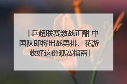 乒超联赛激战正酣 中国队即将出战男排、花游 收好这份观赛指南