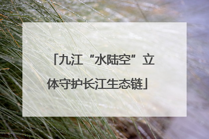 九江“水陆空”立体守护长江生态链
