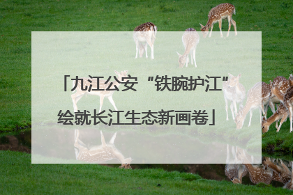 九江公安“铁腕护江”绘就长江生态新画卷