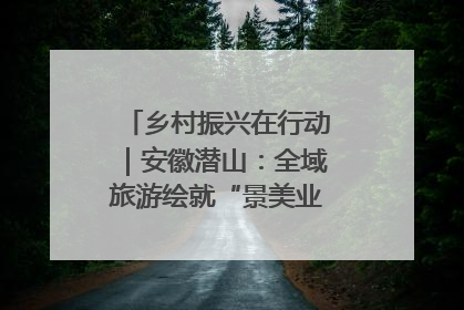 乡村振兴在行动｜安徽潜山：全域旅游绘就“景美业兴民富”新画卷