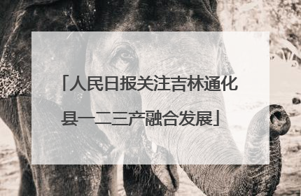 人民日报关注吉林通化县一二三产融合发展
