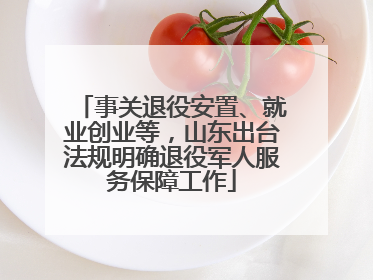 事关退役安置、就业创业等，山东出台法规明确退役军人服务保障工作