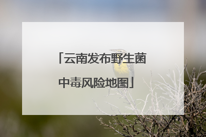 云南发布野生菌中毒风险地图