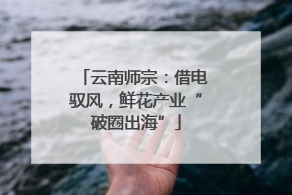 云南师宗：借电驭风，鲜花产业“破圈出海”