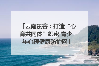 云南景谷：打造“心育共同体”织密 青少年心理健康防护网