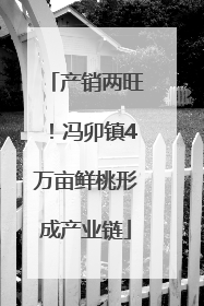 产销两旺！冯卯镇4万亩鲜桃形成产业链