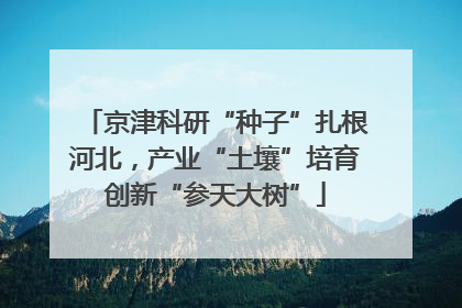 京津科研“种子”扎根河北，产业“土壤”培育创新“参天大树”