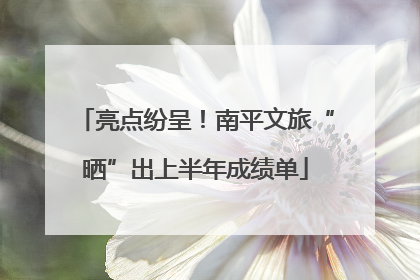 亮点纷呈！南平文旅“晒”出上半年成绩单