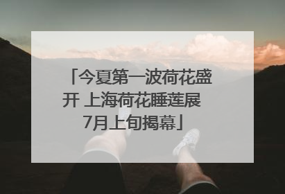 今夏第一波荷花盛开 上海荷花睡莲展7月上旬揭幕