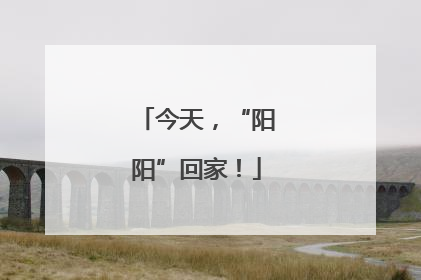 今天，“阳阳”回家！