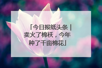 今日报纸头条｜卖火了棉袄，今年种了千亩棉花