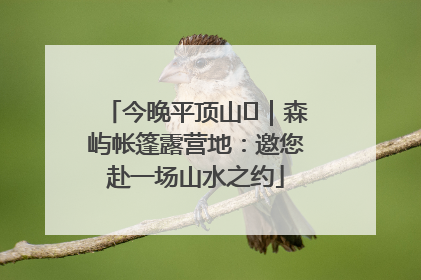 今晚平顶山⑫｜森屿帐篷露营地：邀您赴一场山水之约