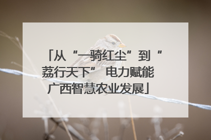从“一骑红尘”到“荔行天下” 电力赋能广西智慧农业发展