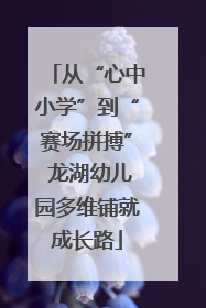 从“心中小学”到“赛场拼搏” 龙湖幼儿园多维铺就成长路
