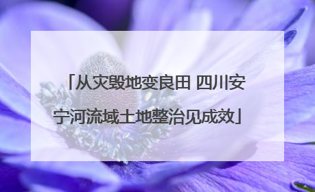 从灾毁地变良田 四川安宁河流域土地整治见成效