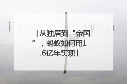 从独居到“帝国”，蚂蚁如何用1.6亿年实现