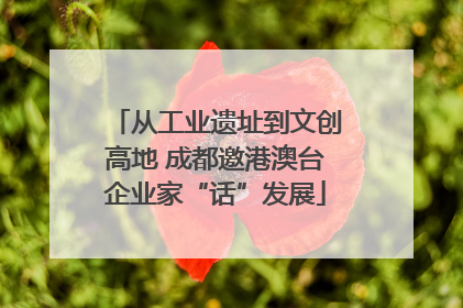 从工业遗址到文创高地 成都邀港澳台企业家“话”发展